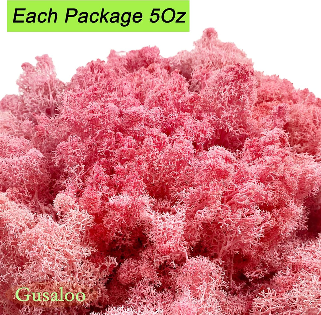 Preserved Moss 5oz Artificial Natural Fresh Green Moss for Craft Handicraft Arts Floral Project Wall Decor Table Decor Wedding Centerpieces Garden Terrariums Decoration-Pink