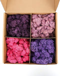 Amoueterno Preserved 4 Color Reindeer Moss,Total 14OZ Each Color 3.5OZ, Natural Real Moss, DIY Kit Crafts Art Wall Decor Florist Decor,Purple