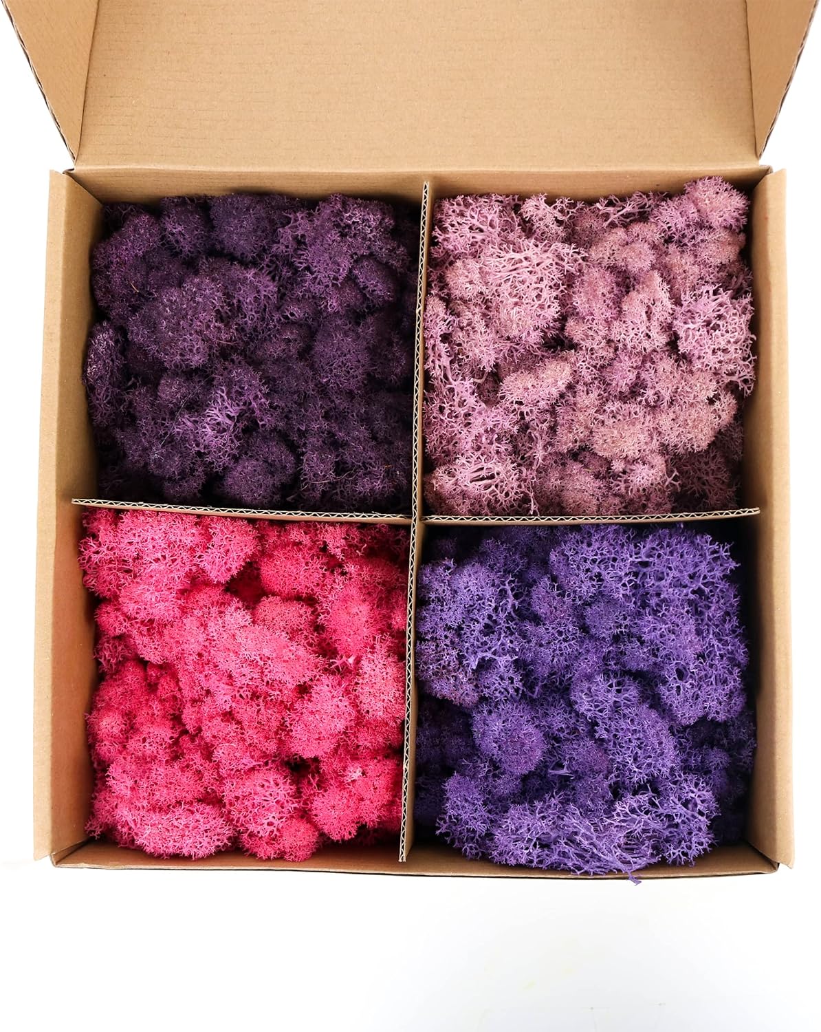 Amoueterno Preserved 4 Color Reindeer Moss,Total 14OZ Each Color 3.5OZ, Natural Real Moss, DIY Kit Crafts Art Wall Decor Florist Decor,Purple