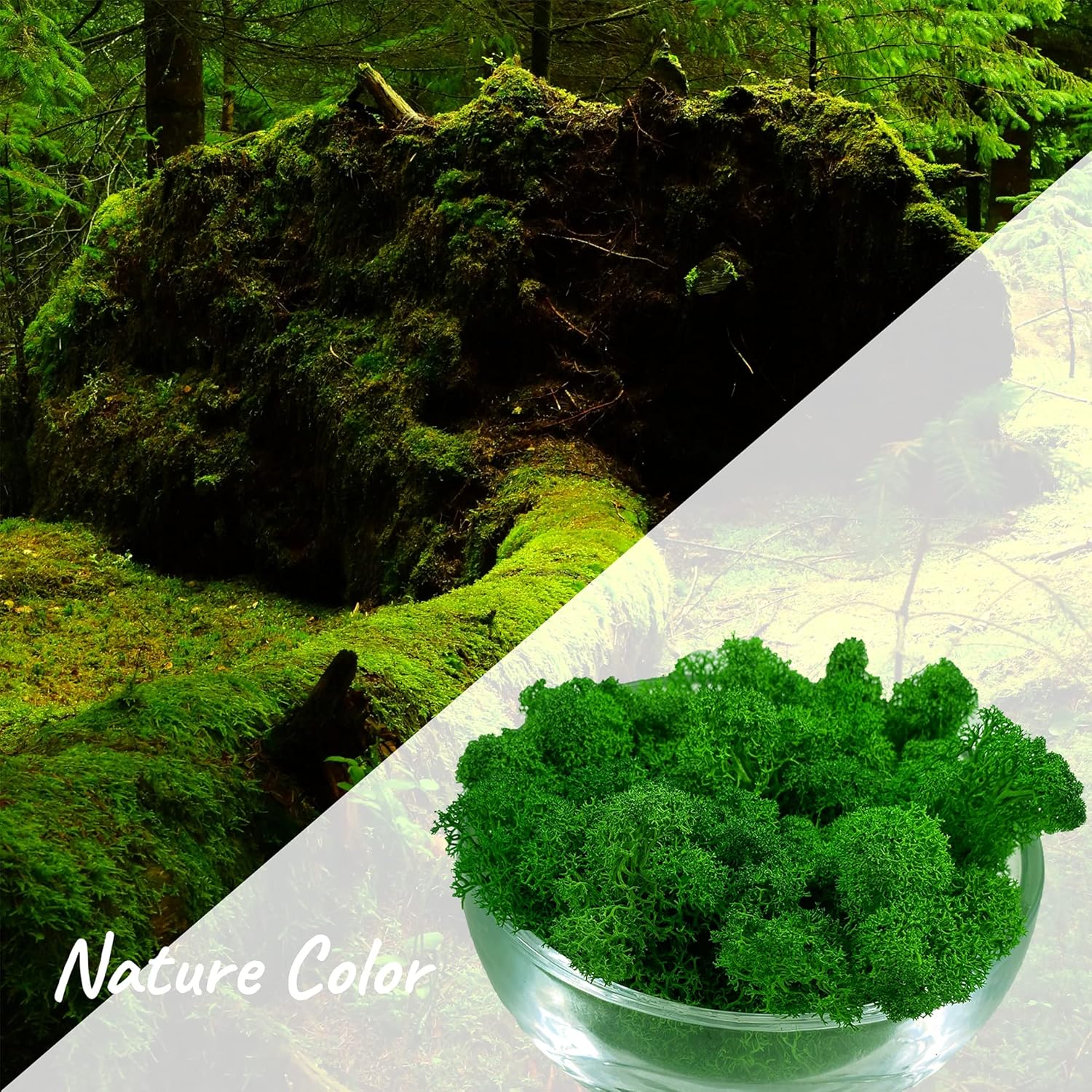 Moss Preserved Artificial Moss 8.8 oz Natural Fresh Green Moss for Craft Arts Floral Project Wall Decor Table Decor Wedding Centerpieces Garden Terrariums Decoration -MidGreen