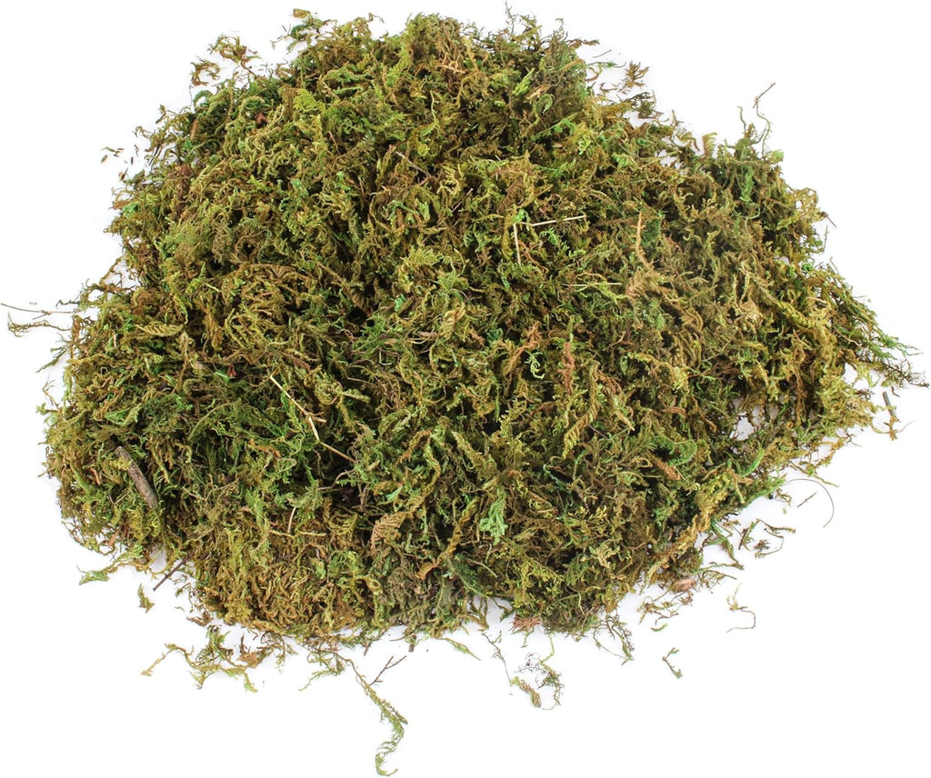 Artificial Moss for Crafts - 11 OZ - Faux Green Moss for Decorating Plants Indoor, Pot Filler for Artificial Plants