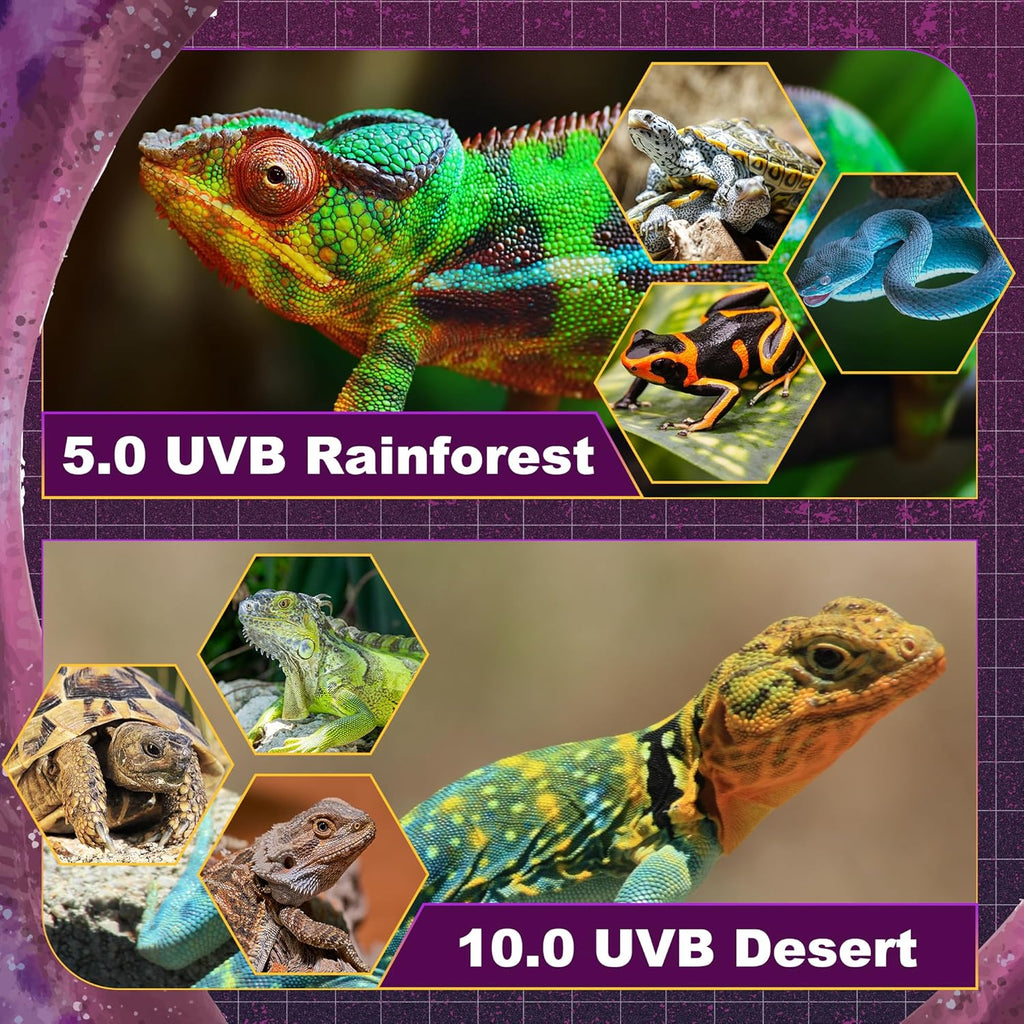 T5 HO UVB Lighting Combo Kit, 8W Reptile Light Fixture with Fluorescent Light Bulbs, Tropical 5.0 UVB Light for Reptiles and Amphibians, Basking Light for Bearded Dragon, High Output Natural Light