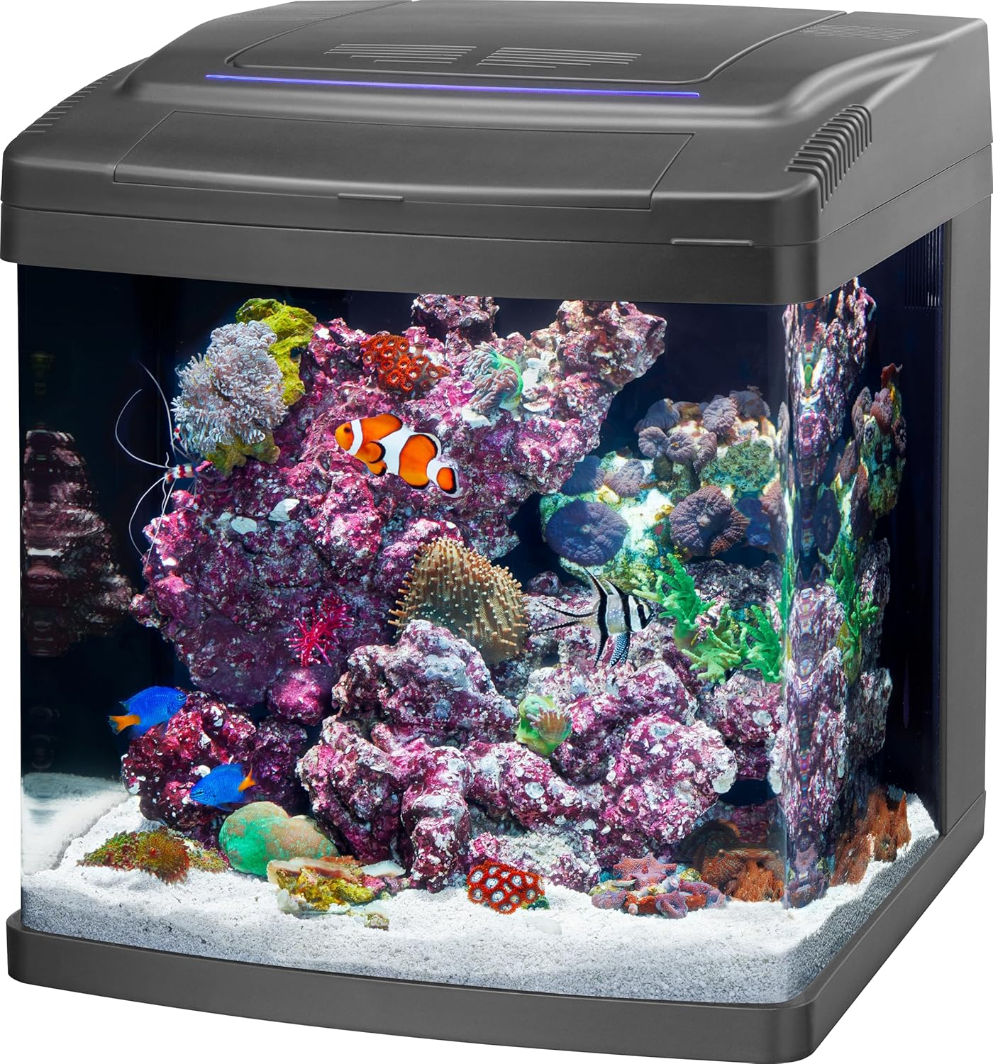 Coralife Smart BioCube Jr. 14 Gallon