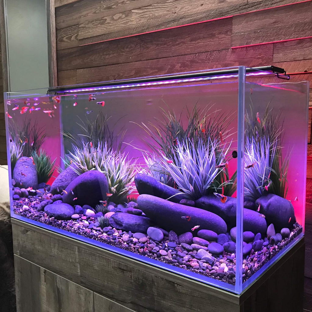 CURRENT USA 48-60" Inch Serene Aquarium Visual and Audio Aquatic Experience Kit with LED Aquarium Light, LED Background Light, Frosted Background Film & Speaker for Fish Tank (4027)