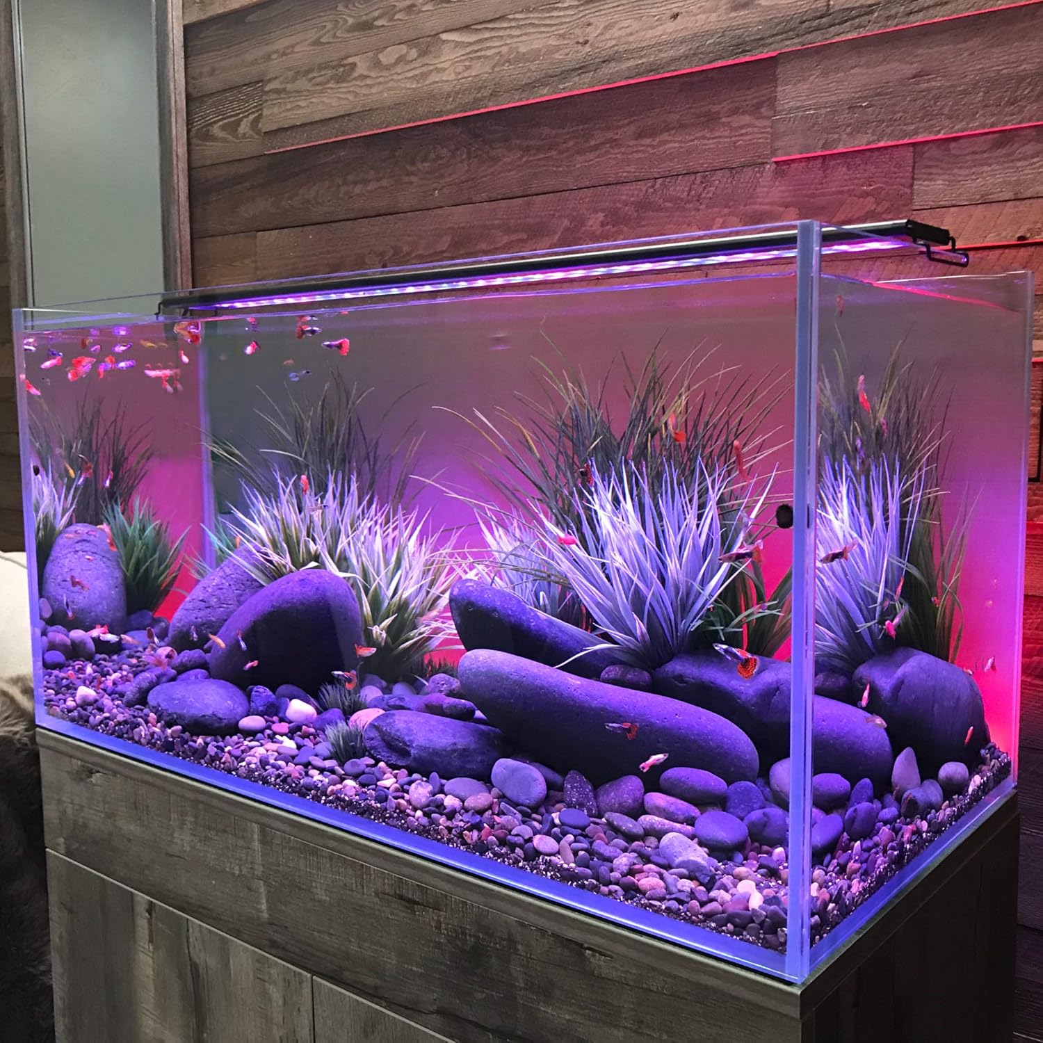 CURRENT USA 48-60" Inch Serene Aquarium Visual and Audio Aquatic Experience Kit with LED Aquarium Light, LED Background Light, Frosted Background Film & Speaker for Fish Tank (4027)