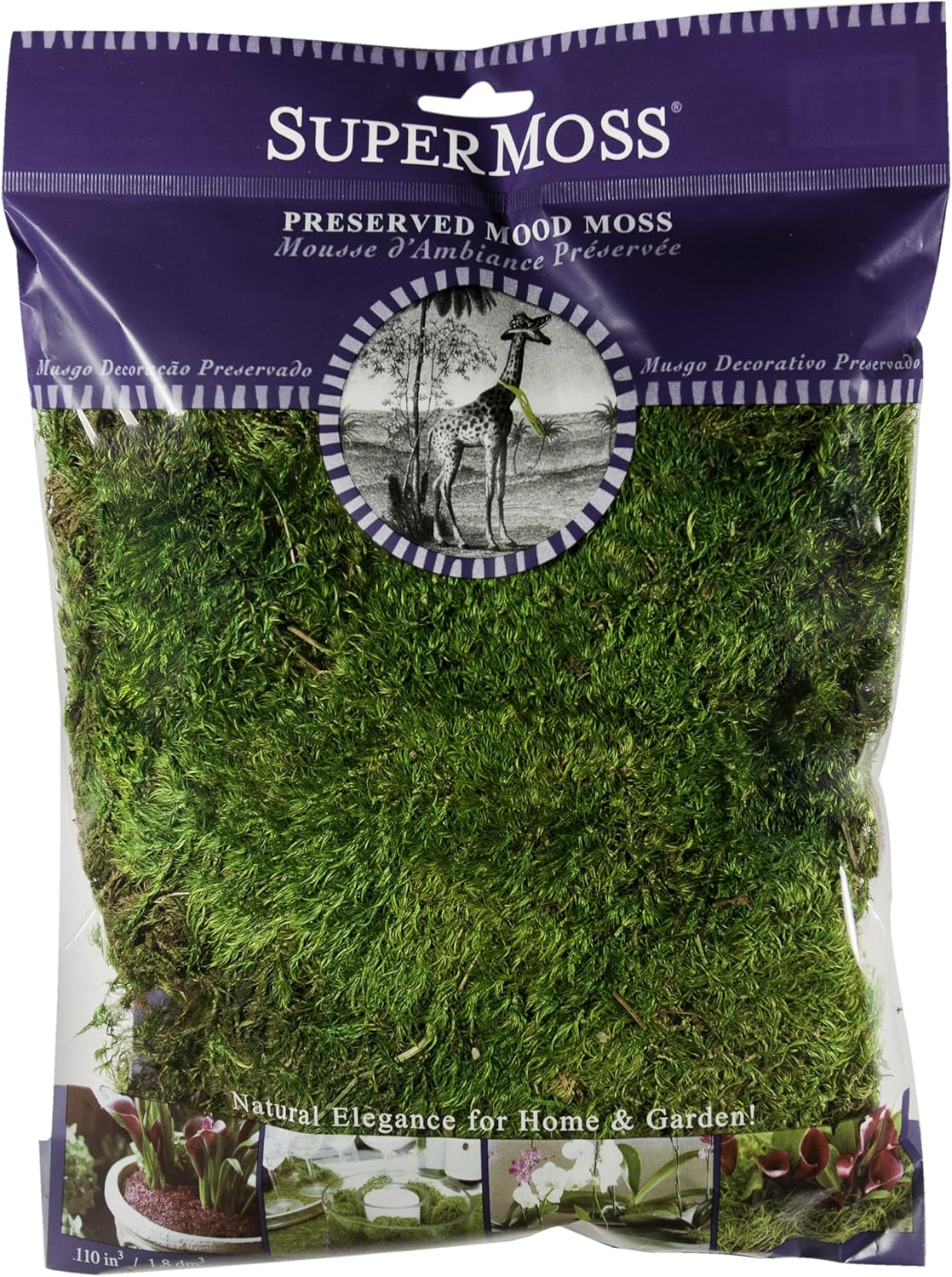 SuperMoss (21542) Mood Moss Preserved, Fresh Green, 4oz