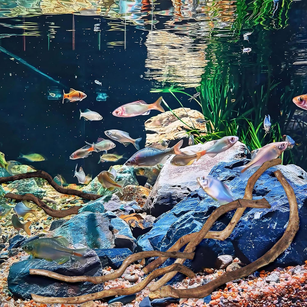 Hamiledyi Natural Driftwood for Aquarium Decor - Red Moor Wood 10"-15" Long Assorted Shapes (200g) Safe Branches for Fish Tank & Reptile Habitat - Natural Aquarium Wood Decorations (Medium Branches)