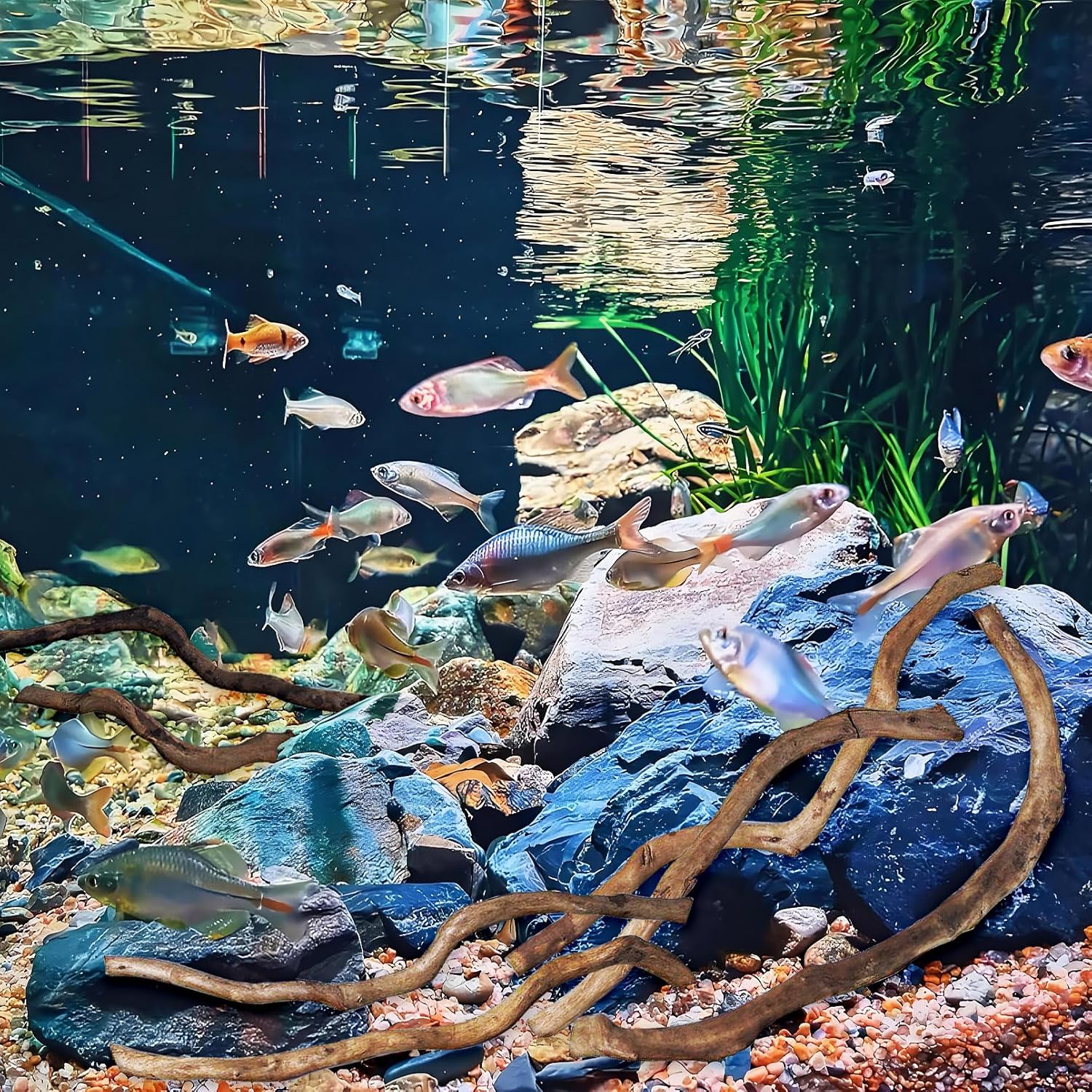 Hamiledyi Natural Driftwood for Aquarium Decor - Red Moor Wood 10"-15" Long Assorted Shapes (200g) Safe Branches for Fish Tank & Reptile Habitat - Natural Aquarium Wood Decorations (Medium Branches)