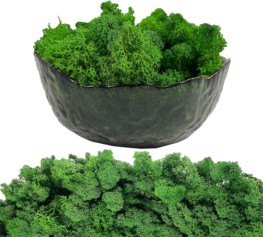 Moss Preserved Artificial Moss 8.8 oz Natural Fresh Green Moss for Craft Arts Floral Project Wall Decor Table Decor Wedding Centerpieces Garden Terrariums Decoration -MidGreen
