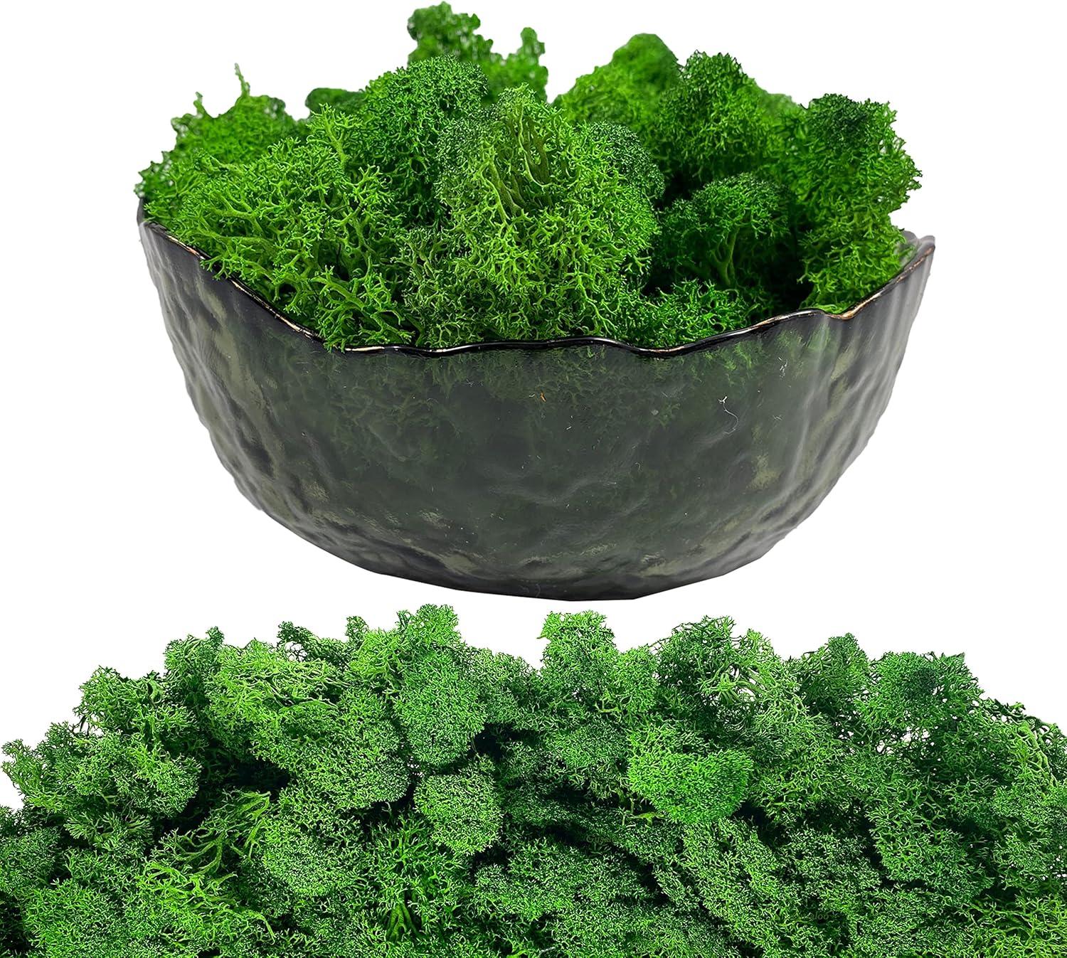 Moss Preserved Artificial Moss 8.8 oz Natural Fresh Green Moss for Craft Arts Floral Project Wall Decor Table Decor Wedding Centerpieces Garden Terrariums Decoration -MidGreen