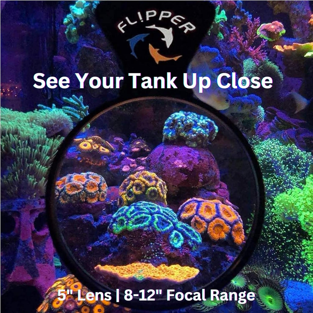 Flipper DeepSee 5" Magnetic Aquarium Viewer – Optical-Grade Magnifying Lens for Glass & Acrylic Tanks up to 5/8" Thick – Hands-Free Underwater Viewing for Fish, Corals & Aquarium Photography – Black