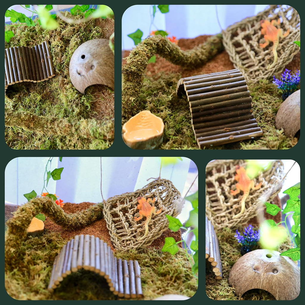 Hermit Crab Accessories, Natural Hermit Crab Toys Reptile Hammock,Coconut Shell Hideout Decor for Hermit Crabs Leopard Geckos, Crested, Tortoise, Snake (B-Group -6Pcs Hammock)