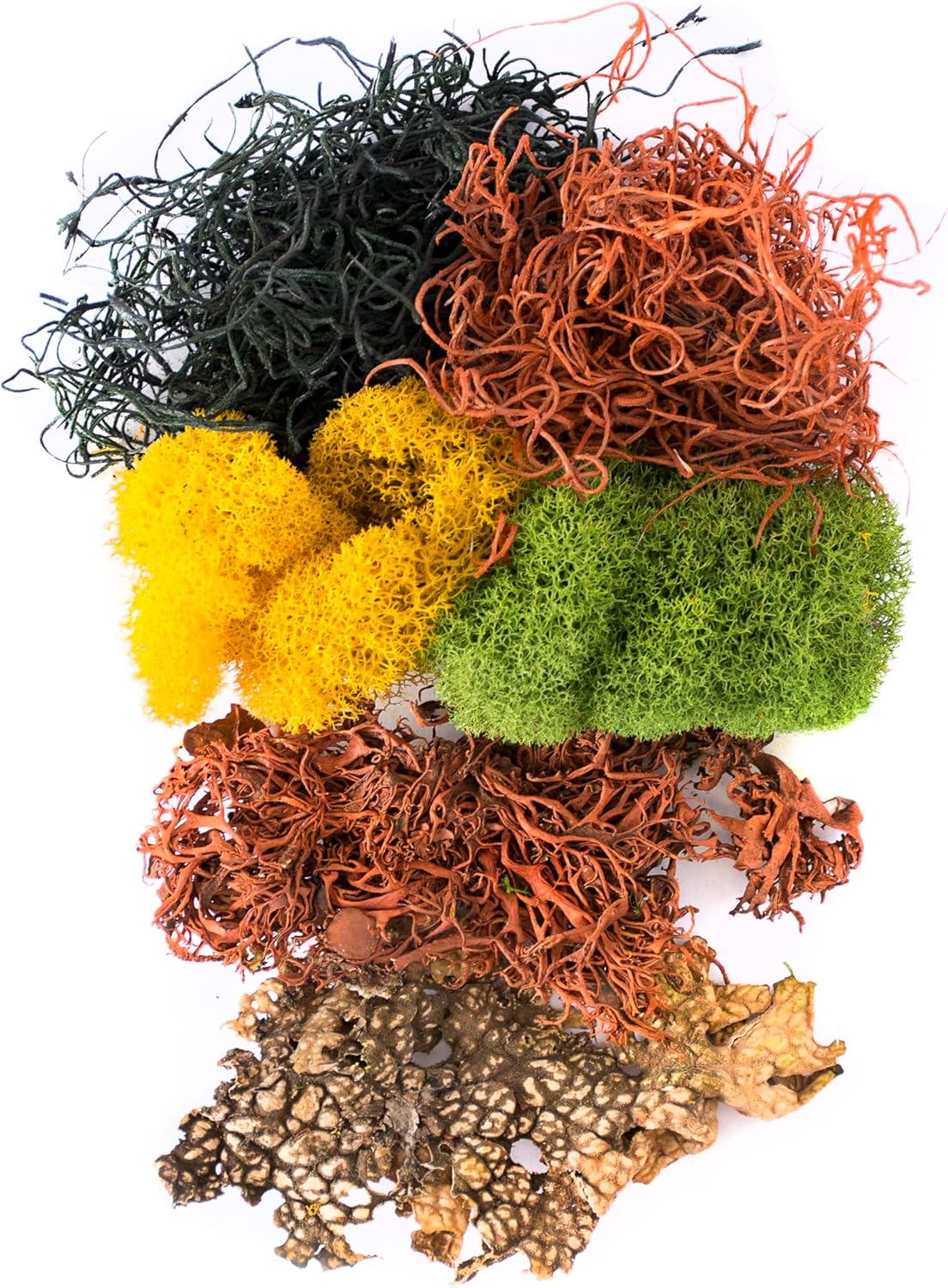 SuperMoss (23309) Moss Mix – Premium Decorative Moss for Crafts, Terrariums, Wedding & Table Décor, 80.75 Cubic inches (Approx. 2 oz), Halloween