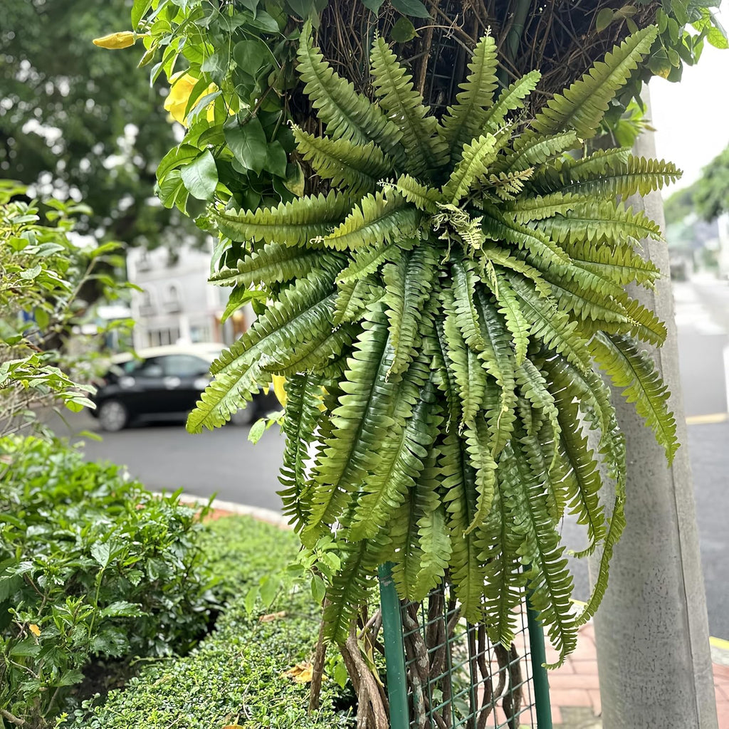 Fake Fern, 68" Large Artificial Ferns for Outdoors & Indoors, UV Resistant Faux Boston Fern Greenery with Lush Long Leaves Suitable for Planters Porch Windowsills Garden Home Decor, Hanging or Potted