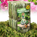 DUSPRO Big Bag Dried Forest Moss for Plant Propagation Sphagnum Moss Bulk for Orchid Repotting Mix Organic Soil Medium Bale Premium Hand Selected 16 QRT