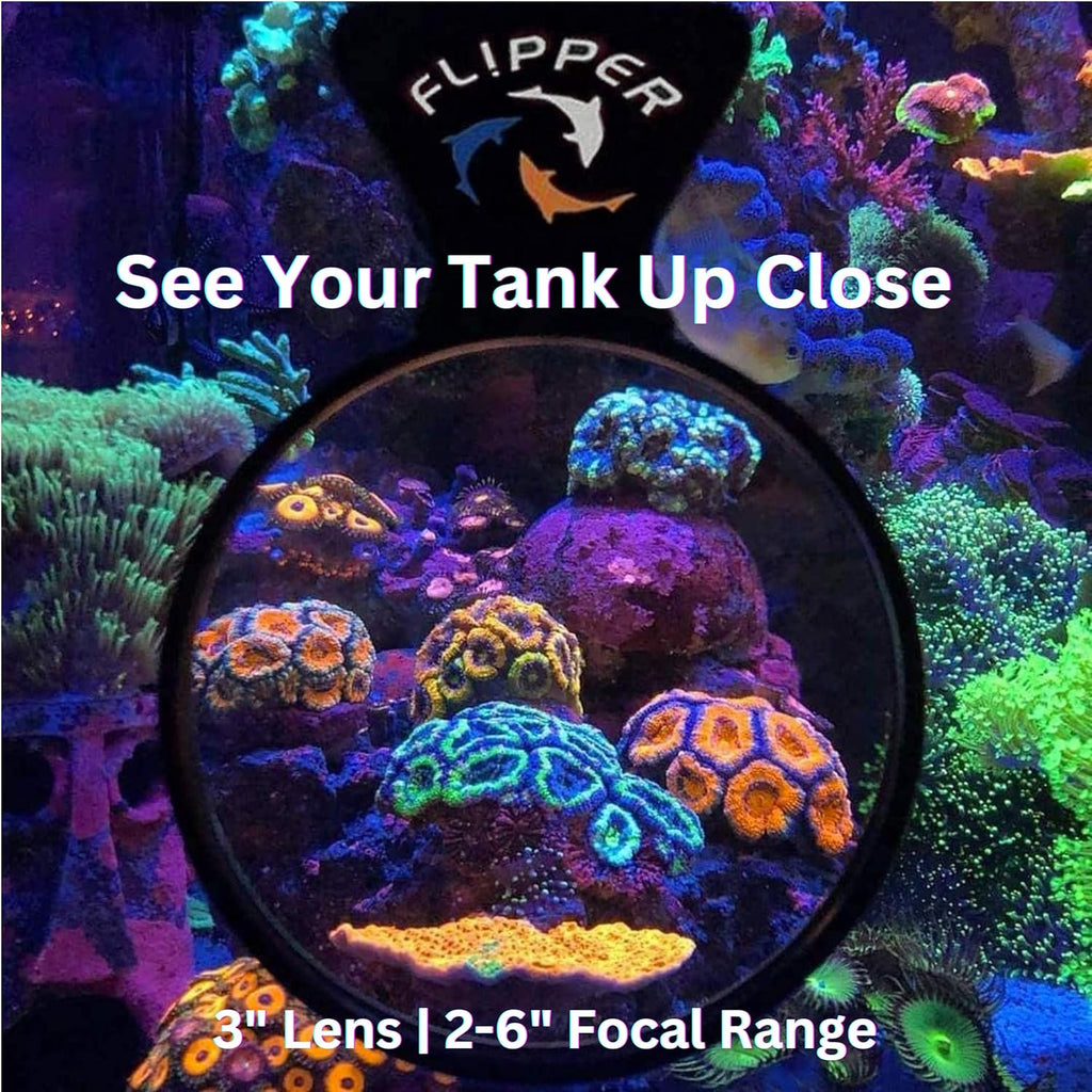 FLIPPER DeepSee Nano 3″ Magnetic Aquarium Viewer – Optical-Grade Magnifying Lens for Clear Underwater Viewing – Reef & Freshwater Tank Accessory for Fish, Coral & Aquascapes (Up to 3/8″ Glass) – Black