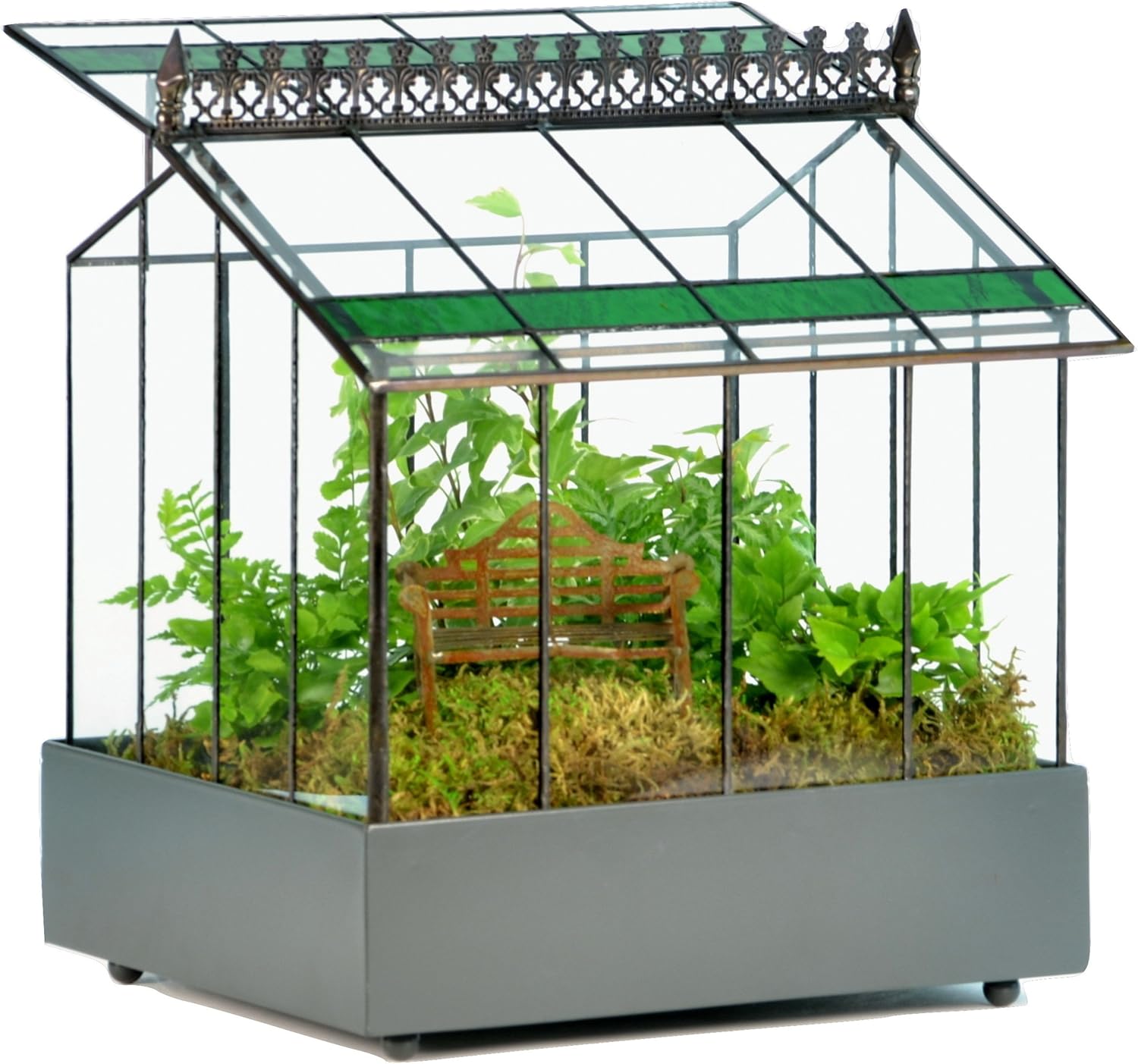 H Potter Glass Terrarium Planter Wardian Case Container with Green Glass Accent for Succulent Plants Flowers Orchids Foliage and More WAR143