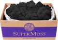SuperMoss 21786 Reindeer Moss Preserved Black, Appx. 3 lb Bulk Case