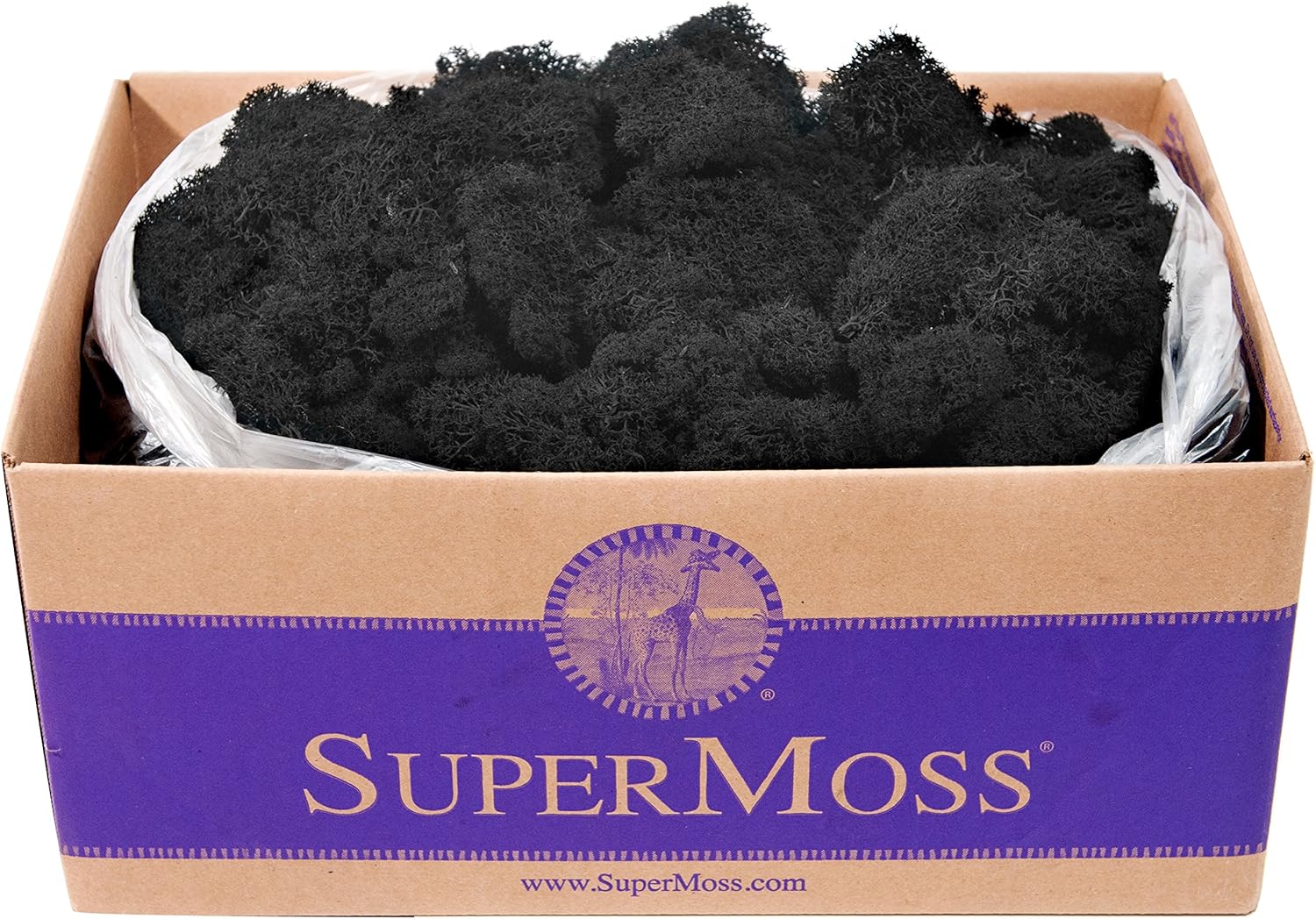 SuperMoss 21786 Reindeer Moss Preserved Black, Appx. 3 lb Bulk Case
