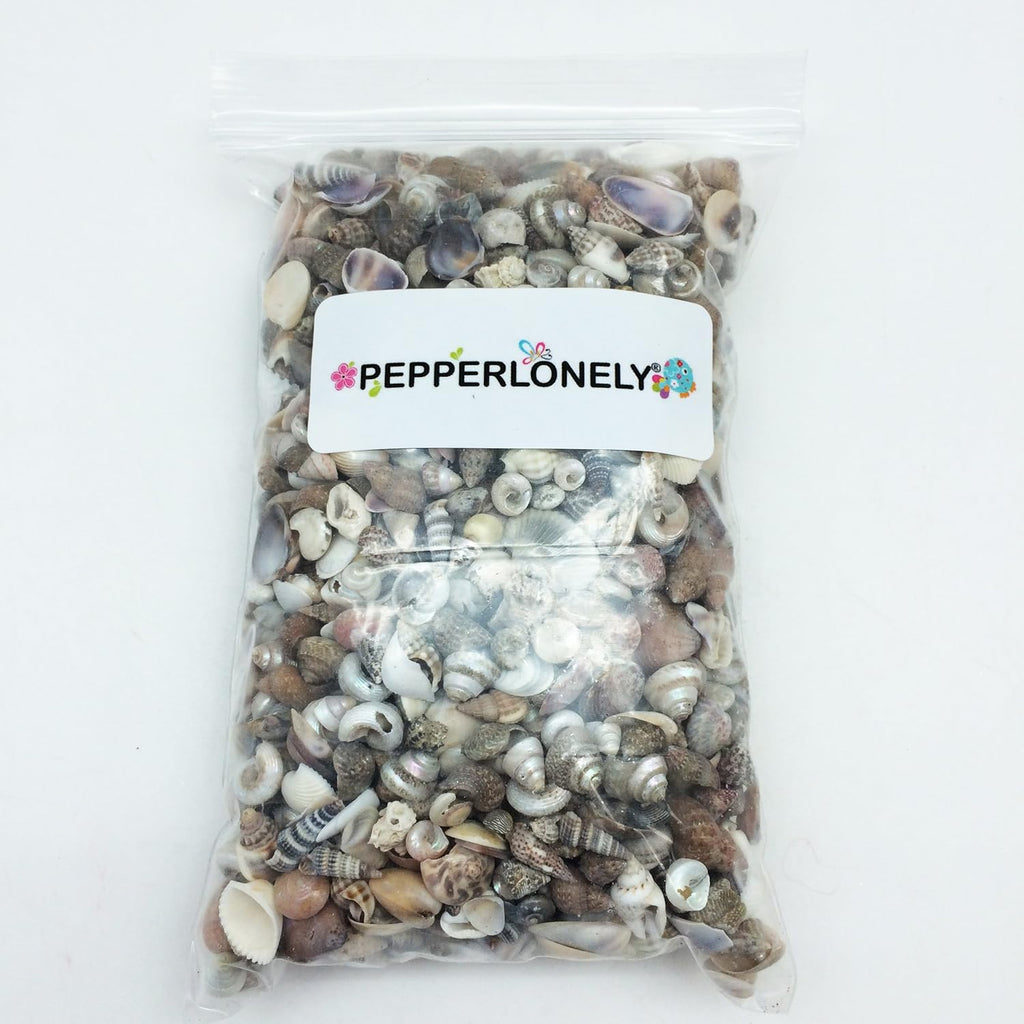 PEPPERLONELY Tiny Mix Sea Shells, Small Shells Mixed, 8 OZ Apprx. 1400+ PC Shells, 1/4 Inch ~ 5/8 Inch