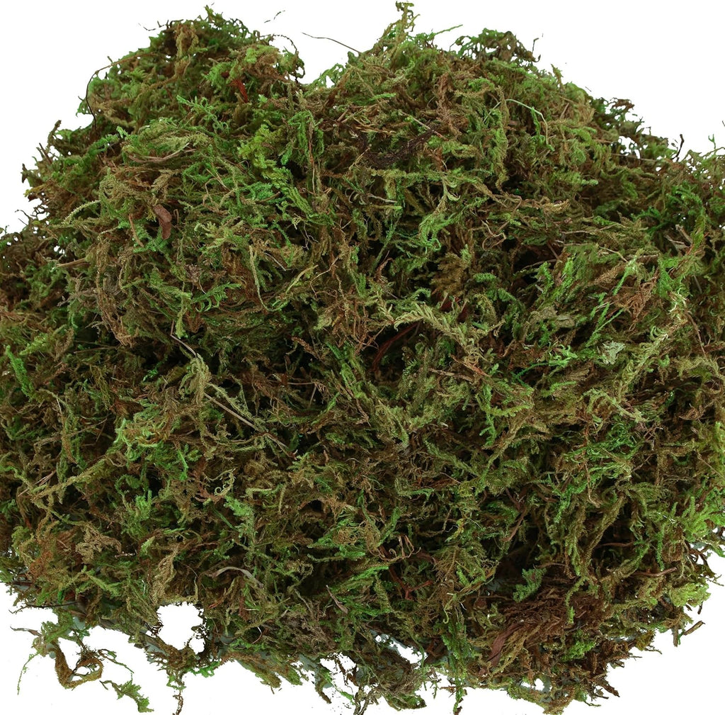Artificial Moss for Indoor Plants, 16OZ Fake Moss for Crafts, Decorative Centerpieces, Fairy Garden, Wedding Party Decor, Faux Potted Plants, 455gr (Natural Green)