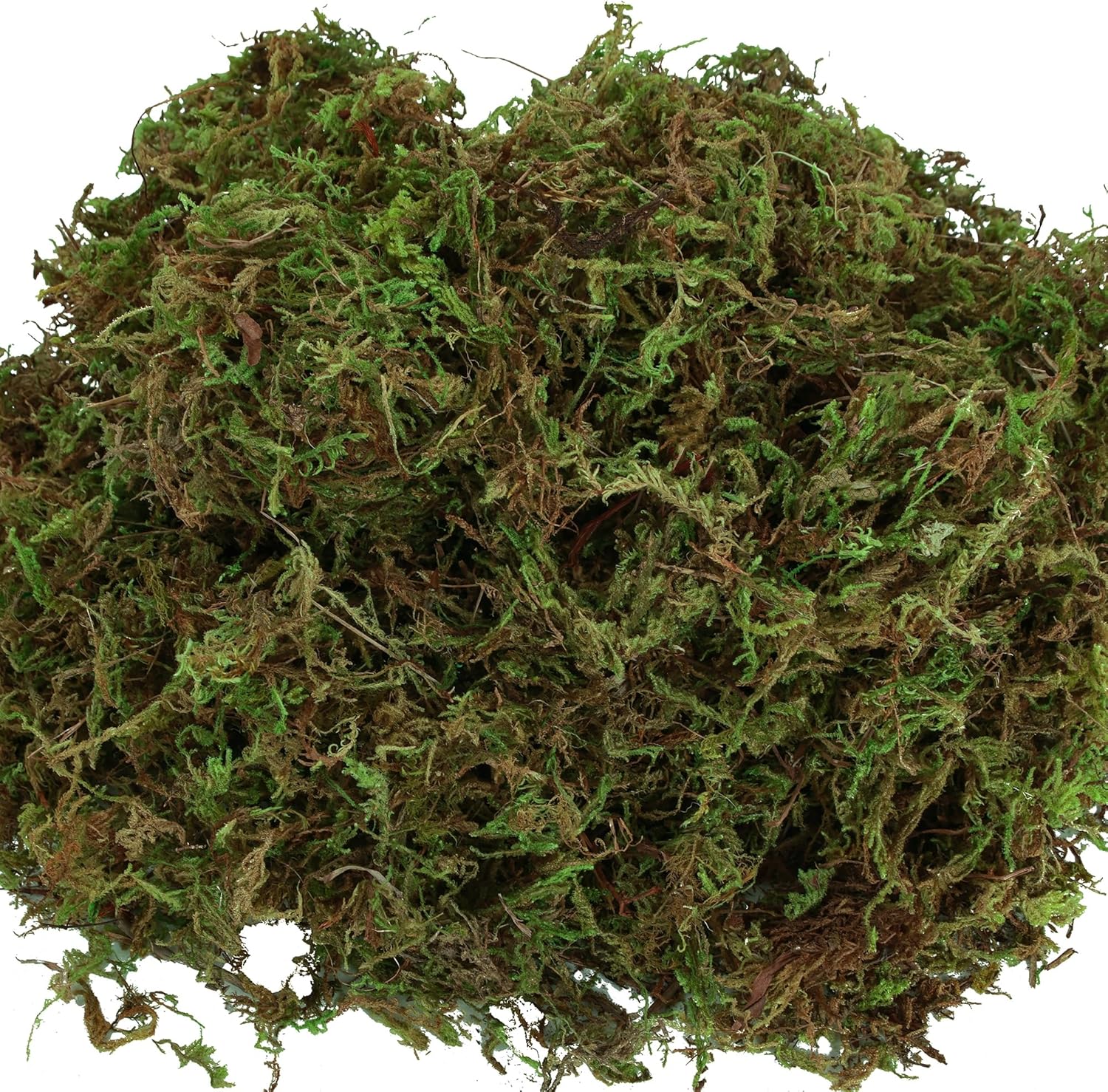 Artificial Moss for Indoor Plants, 16OZ Fake Moss for Crafts, Decorative Centerpieces, Fairy Garden, Wedding Party Decor, Faux Potted Plants, 455gr (Natural Green)