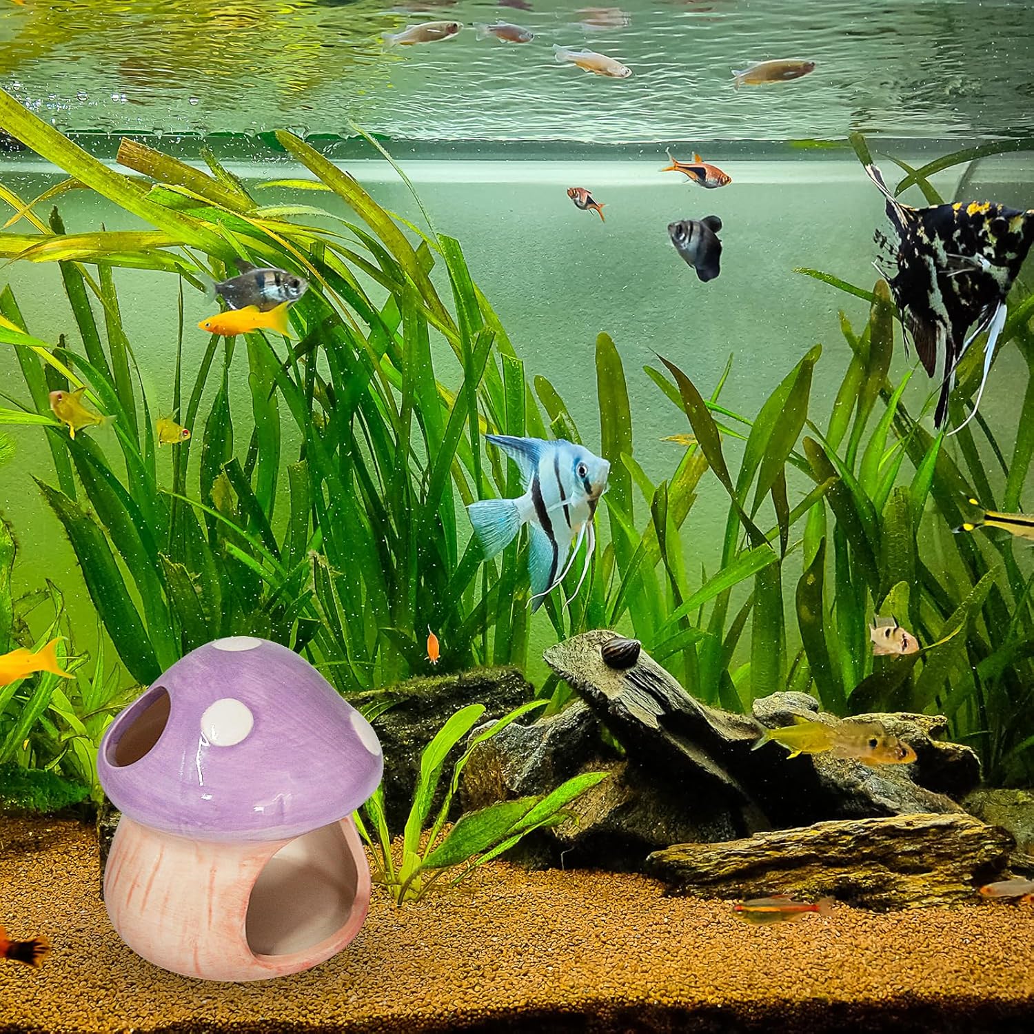 Mushroom Fish Tank Decor, Ceramics Aquarium Shrimp Cave, Betta Hideout Decoration, Cottage Ornament Goldfishes Pleco Cave for Fish Tank Landscape Hideaway Spawning Decor - Purple