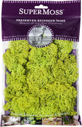 Super Moss (21708) Reindeer Moss Preserved, Chartreuse, Appx. 2 Ounce