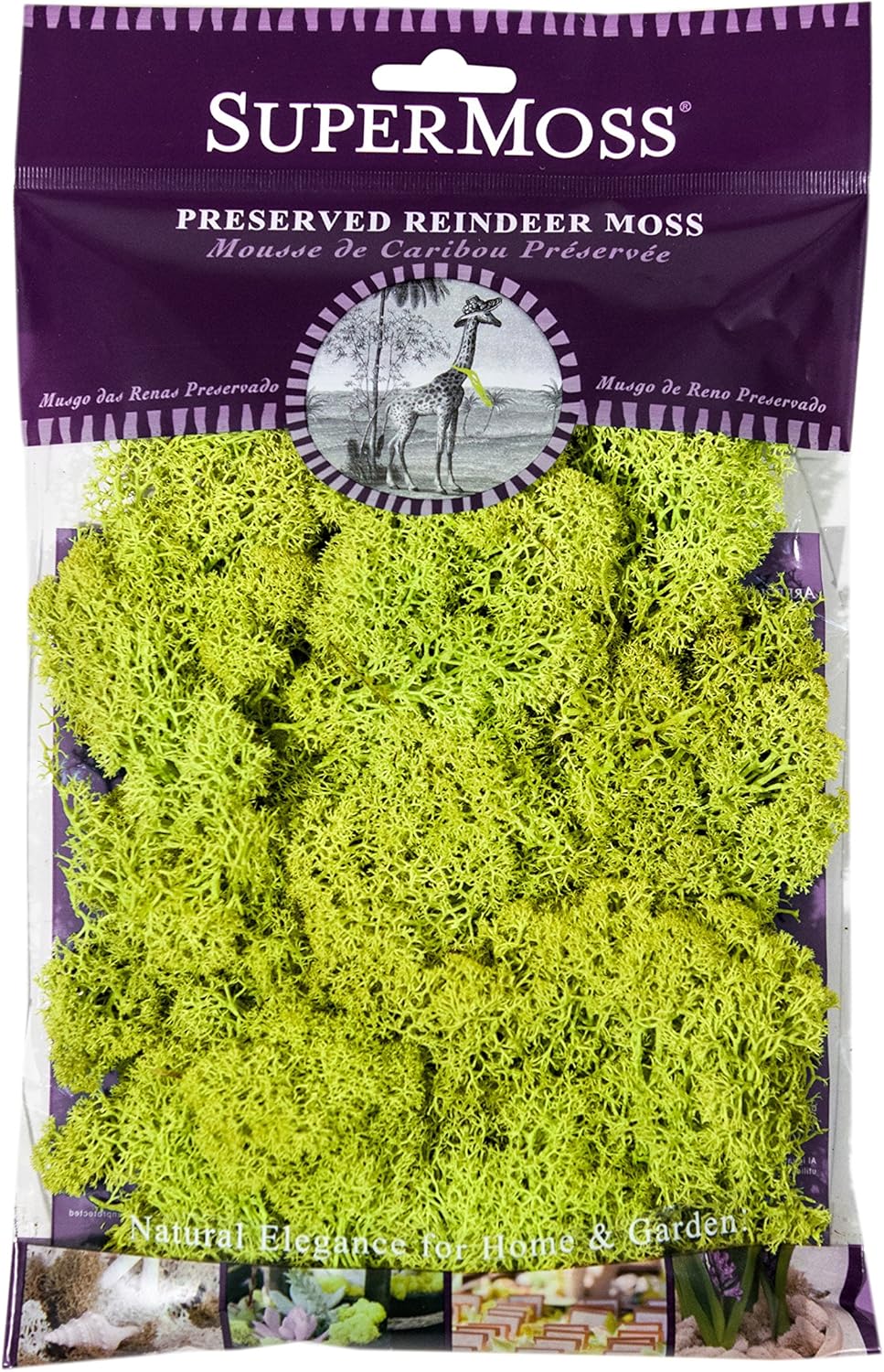 Super Moss (21708) Reindeer Moss Preserved, Chartreuse, Appx. 2 Ounce
