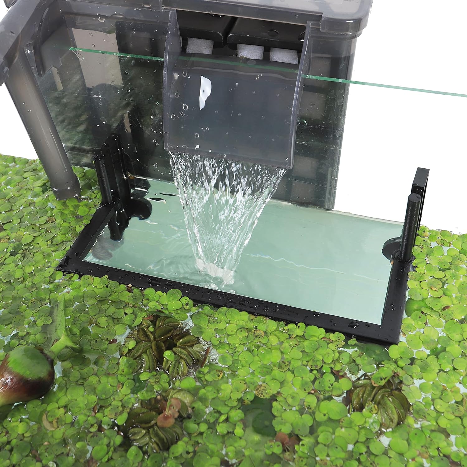 Aquarium Floating Plant Corral, Intercepting Floating Plants from Filters and Heaters, Adjustable Height with Water Level, Can Be Used to Framed and Frameless Aquariums. (Style 2)