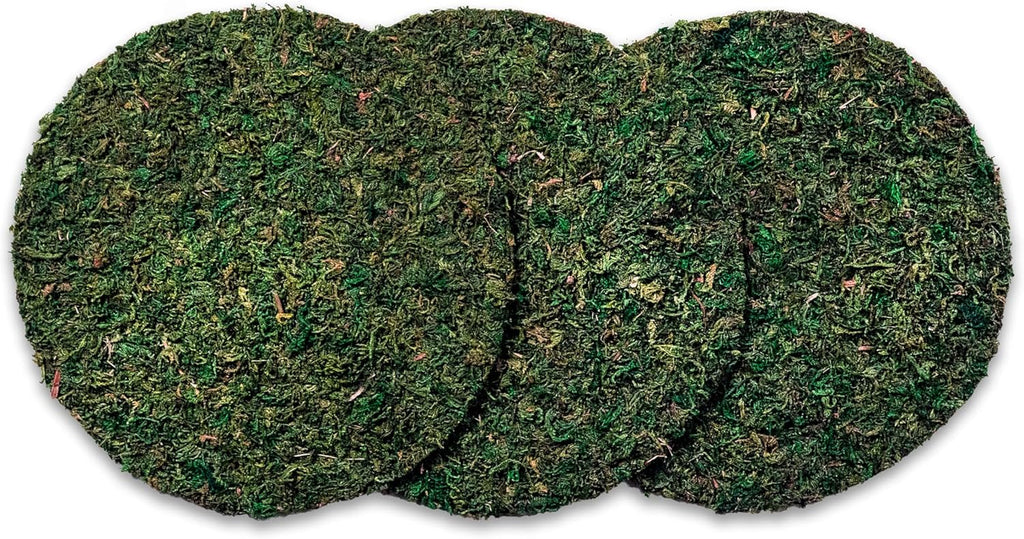 SuperMoss Topper Preserved Green Mountain Moss with Mesh Backing | Indoor Plant Cover for Flowerpots, Orchid Pots, Succulent Soil, Terrariums, and Craft Décor, 3 Count