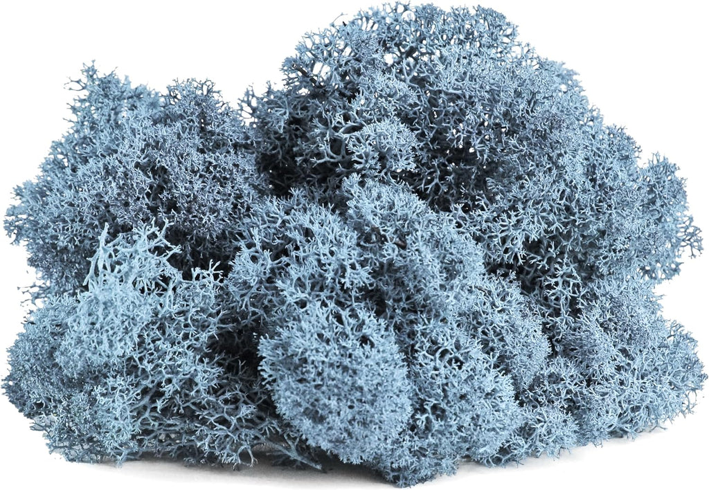 SuperMoss (25160) Reindeer Moss – Soft Preserved Moss for Home Decor, Crafts, Terrariums, Floral Design, and Wedding Decorations, 80.75 cu in, Azul