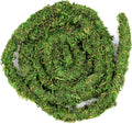 Galápagos (05266) MossVine, Real Moss Vine, 12FT, Green