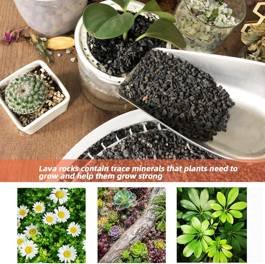3lb Black Lava Rock for Plant, 1/8-1/4 inch Horticultural Volcanic Rock Soil for Decorative Landscaping Bonsai, Cacti, Succulents Plants Top Dressing for Release Excess Water