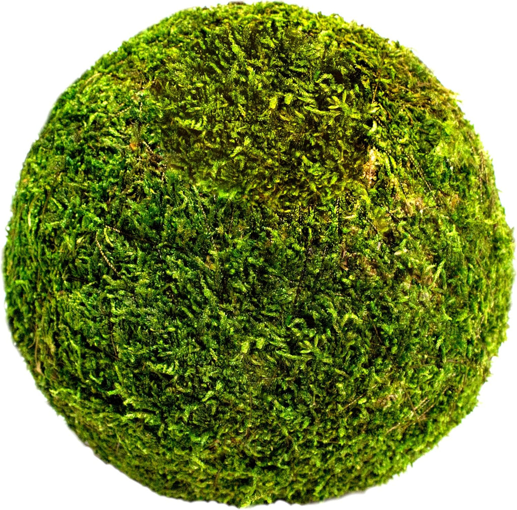 SuperMoss (21657) Moss Ball, Fresh Green, 6"