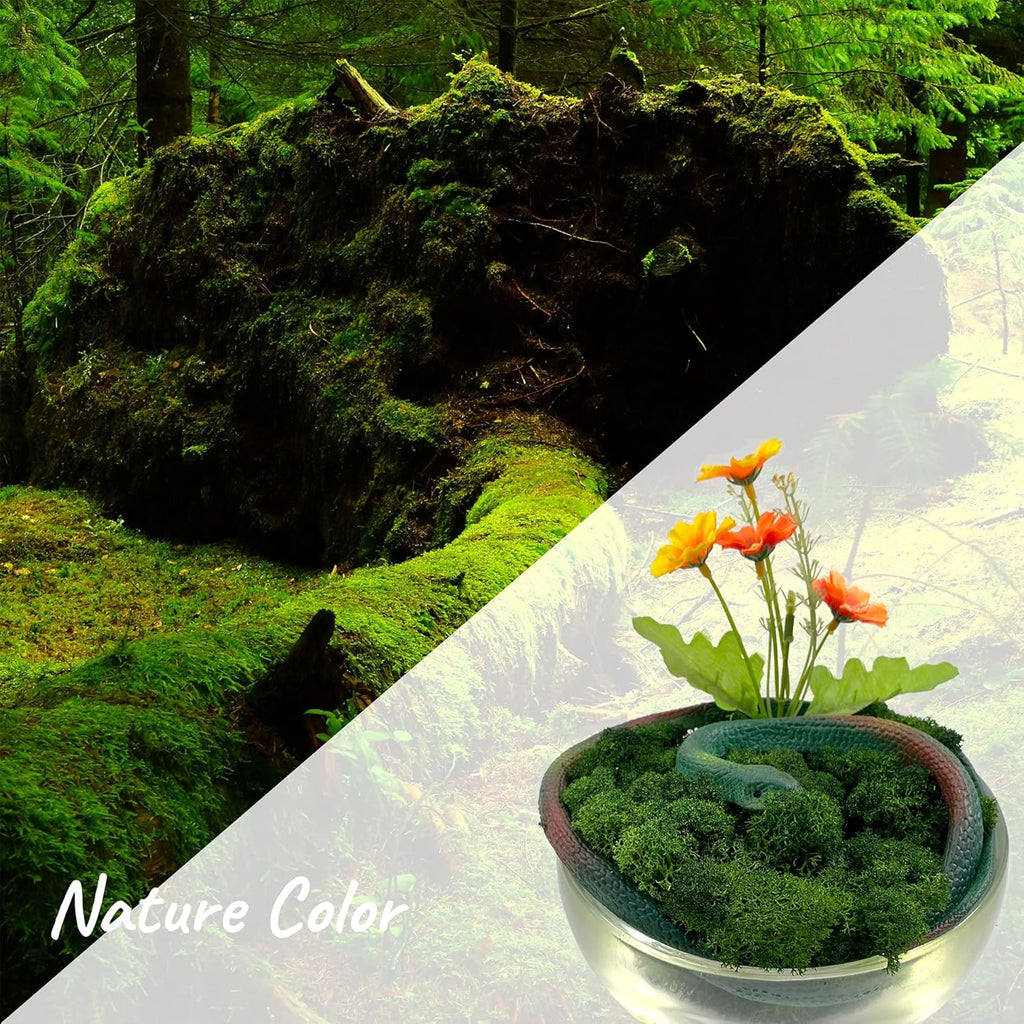 Moss Preserved Artificial Moss 8.8 oz Natural Fresh Green Moss for Craft Arts Floral Project Wall Decor Table Decor Wedding Centerpieces Garden Terrariums Decoration