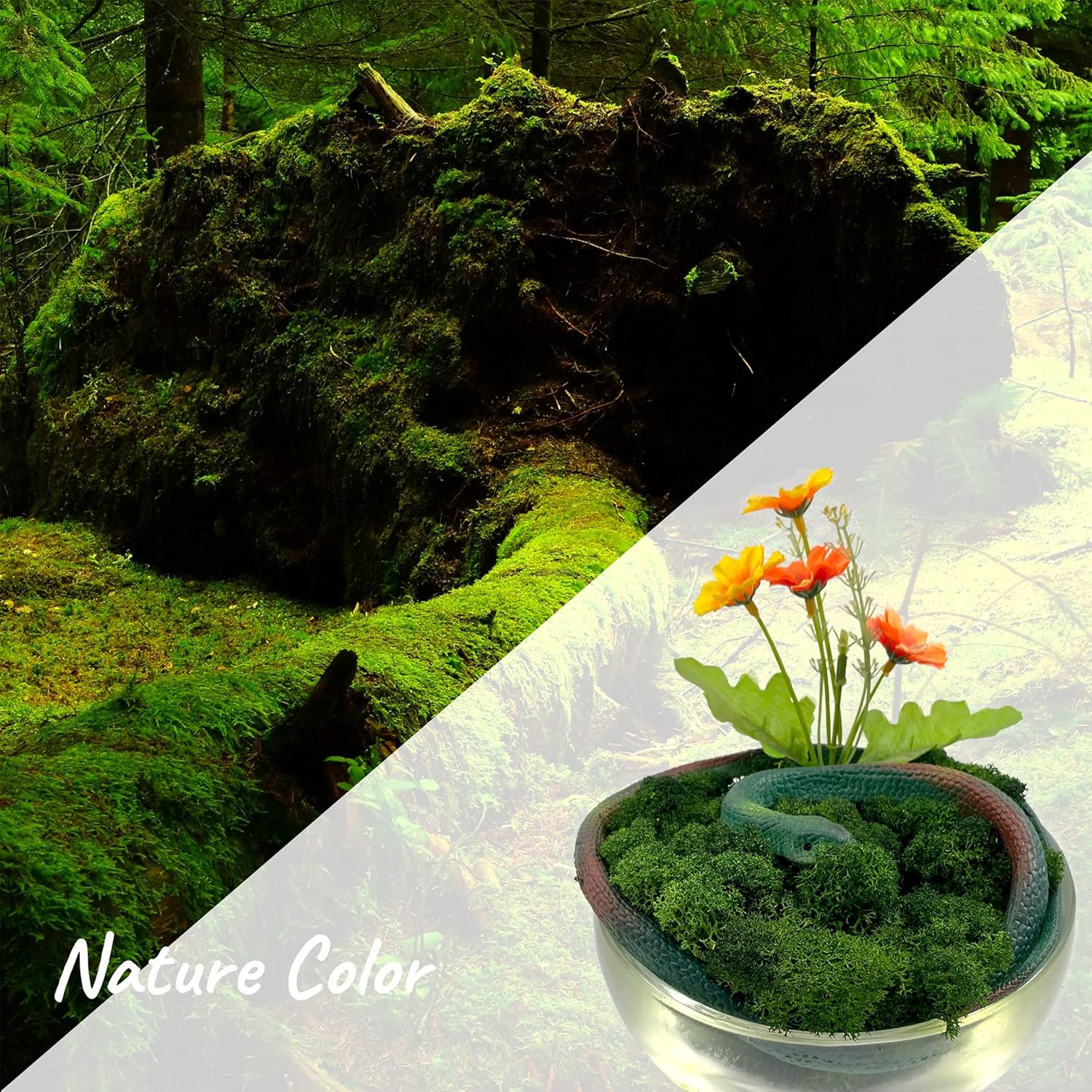 Moss Preserved Artificial Moss 8.8 oz Natural Fresh Green Moss for Craft Arts Floral Project Wall Decor Table Decor Wedding Centerpieces Garden Terrariums Decoration
