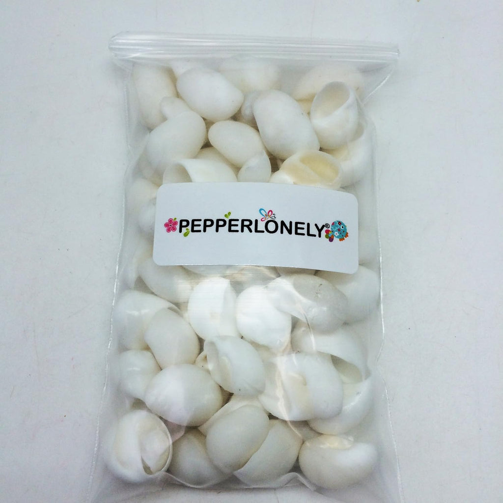PEPPERLONELY White Natica Snail Sea Shells, 8 OZ Apprx.60+ PC Shells, 3/4 Inch ~ 1-1/4 Inch