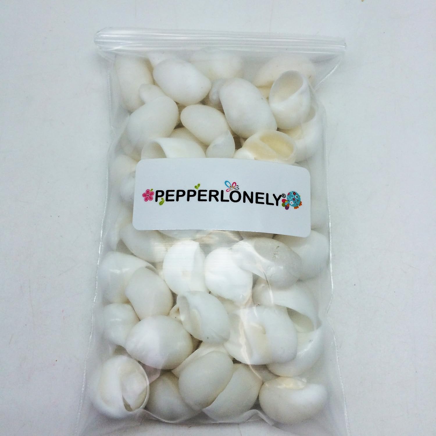 PEPPERLONELY White Natica Snail Sea Shells, 8 OZ Apprx.60+ PC Shells, 3/4 Inch ~ 1-1/4 Inch
