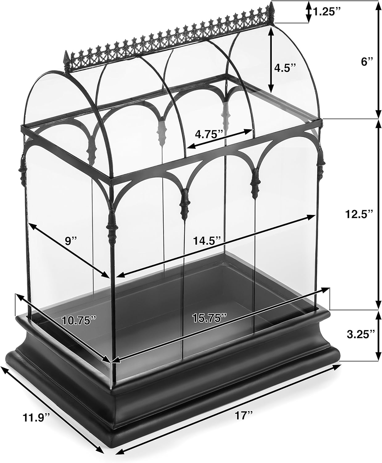 Terrarium Large Glass Succulent Planter Wardian Case Container for Plants from H Potter WAR150