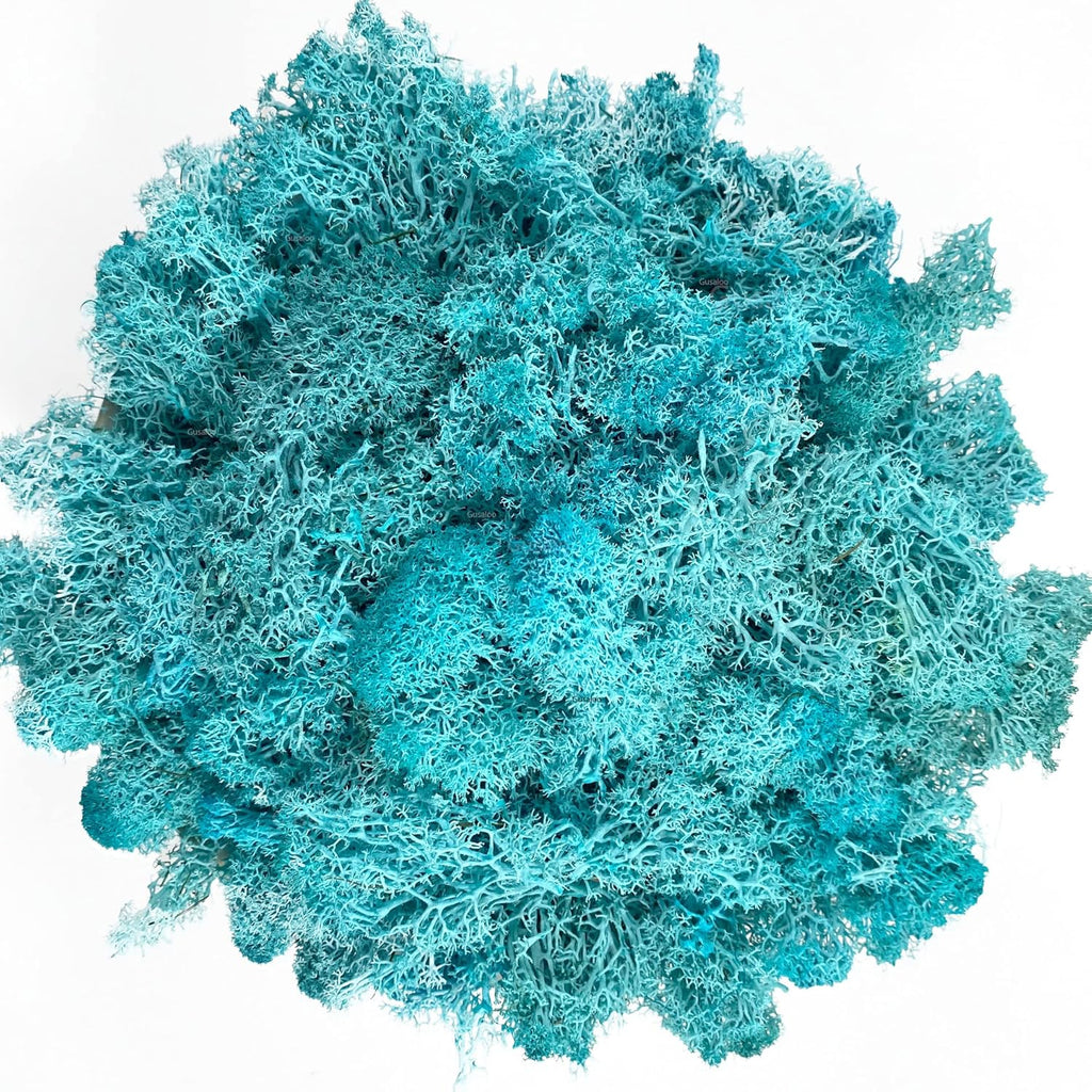 Moss Preserved Moss Natural Fresh Green Moss for Craft Arts Floral Project Wall Decor Table Decor Wedding Centerpieces Garden Artificial Terrariums Decoration -Water Blue 3.5OZ