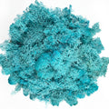 Moss Preserved Moss Natural Fresh Green Moss for Craft Arts Floral Project Wall Decor Table Decor Wedding Centerpieces Garden Artificial Terrariums Decoration -Water Blue 3.5OZ