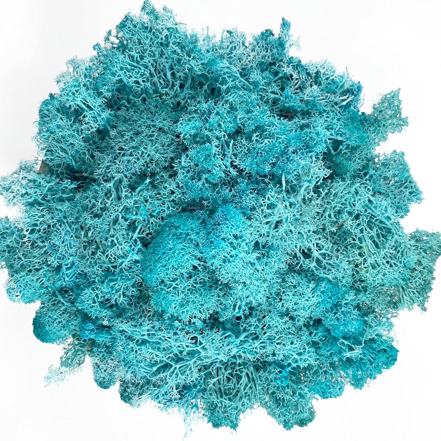 Moss Preserved Moss Natural Fresh Green Moss for Craft Arts Floral Project Wall Decor Table Decor Wedding Centerpieces Garden Artificial Terrariums Decoration -Water Blue 3.5OZ