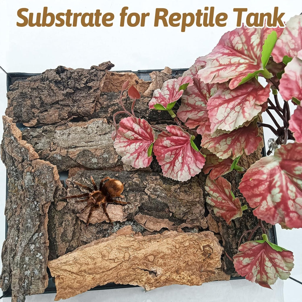 BNOSDM Reptile Cork Bark Substrate 16oz Tortoise Bedding for Habitat Natural Flat Cork Wood Bulk Terrarium Reusable Champagne Bark for Lizard, Crested Gecko, Spider, Chameleon, Ball Python, Tree Frog