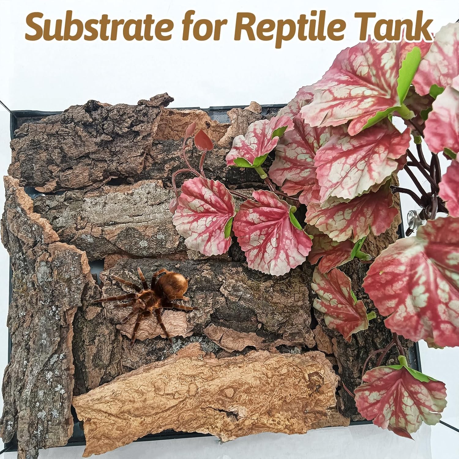 BNOSDM Reptile Cork Bark Substrate 16oz Tortoise Bedding for Habitat Natural Flat Cork Wood Bulk Terrarium Reusable Champagne Bark for Lizard, Crested Gecko, Spider, Chameleon, Ball Python, Tree Frog