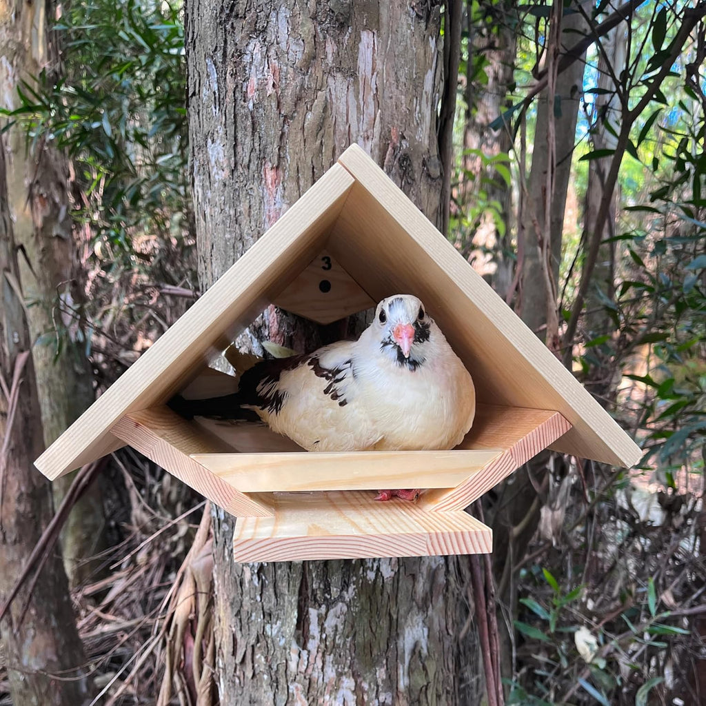 DIY Wooden Dove Nesting Box - Birdhouses for Outdoor Use, Small Birdhouses for Mourning Doves and Other Small Birds, Durable Pine Wood, by Decoribles