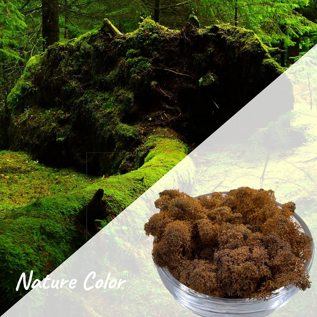 Moss Preserved Artificial Moss 8.8 oz Natural Fresh Green Moss for Craft Arts Floral Project Wall Decor Table Decor Wedding Centerpieces Garden Terrariums Decoration -Brown