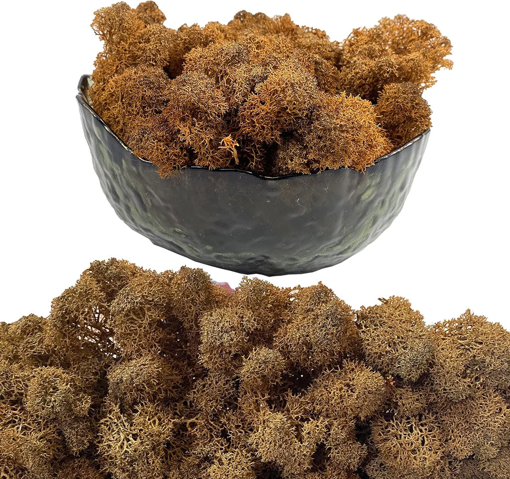 Moss Preserved Artificial Moss 8.8 oz Natural Fresh Green Moss for Craft Arts Floral Project Wall Decor Table Decor Wedding Centerpieces Garden Terrariums Decoration -Brown
