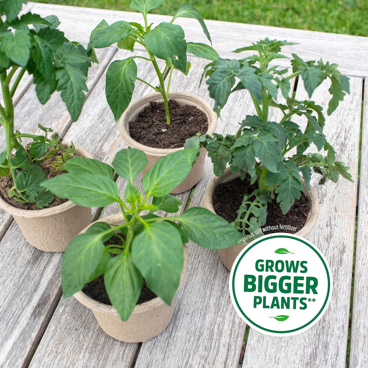 Back to The Roots 3-in-1 Seed Starting Mix 6 Quarts, 100% Organic & USA Made for Herbs, Veggies, Flowers, w/Nutrient Rich Plant Food, Worm-Castings, & Moisture Controlling Yucca Brown