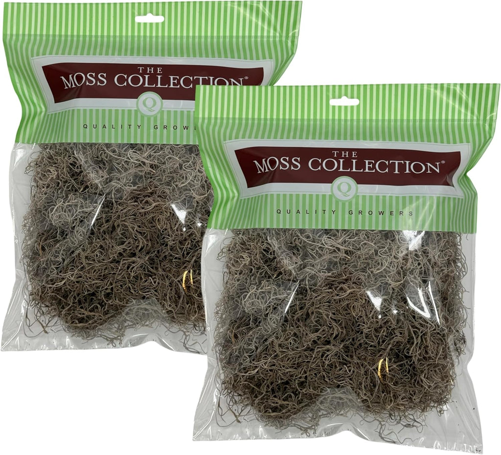 Preserved Spanish Moss - Premium Decorative Moss for Crafts, Home Décor, Art, Design & DIY Projects - Real Moss - Non-Toxic, USA-Made (Natural, Medium, 2-Pack)